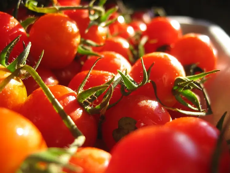 Tomate rouge coupée montrant ses graines et ses loges intérieures