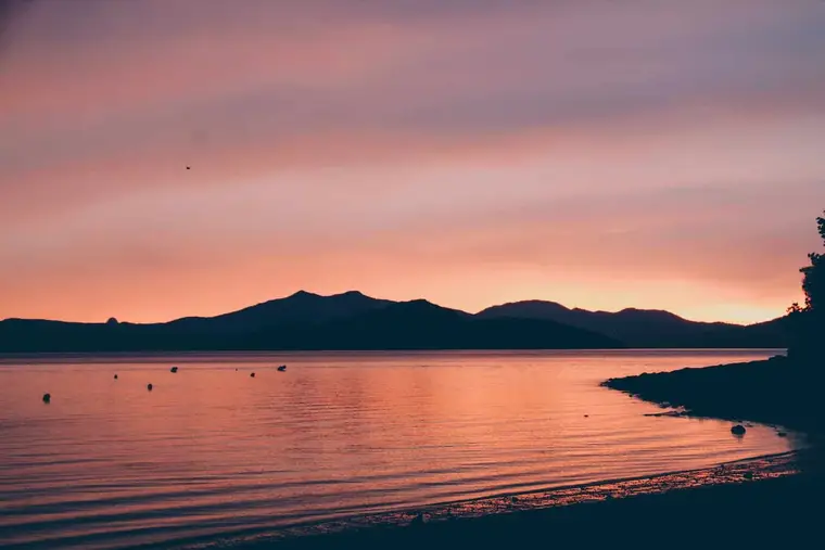 Couple comparant cartes, budget et itinéraires pour choisir une destination de vacances