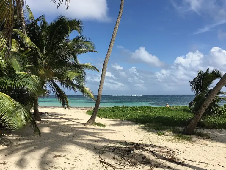 Voyageurs face à la mer sur une île grecque en août