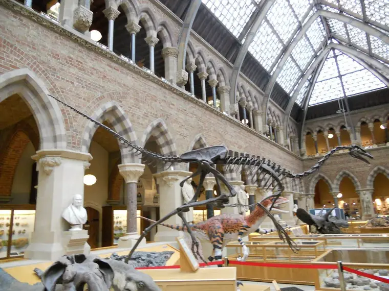 Grand squelette de dinosaure sous la verrière d’un musée parisien