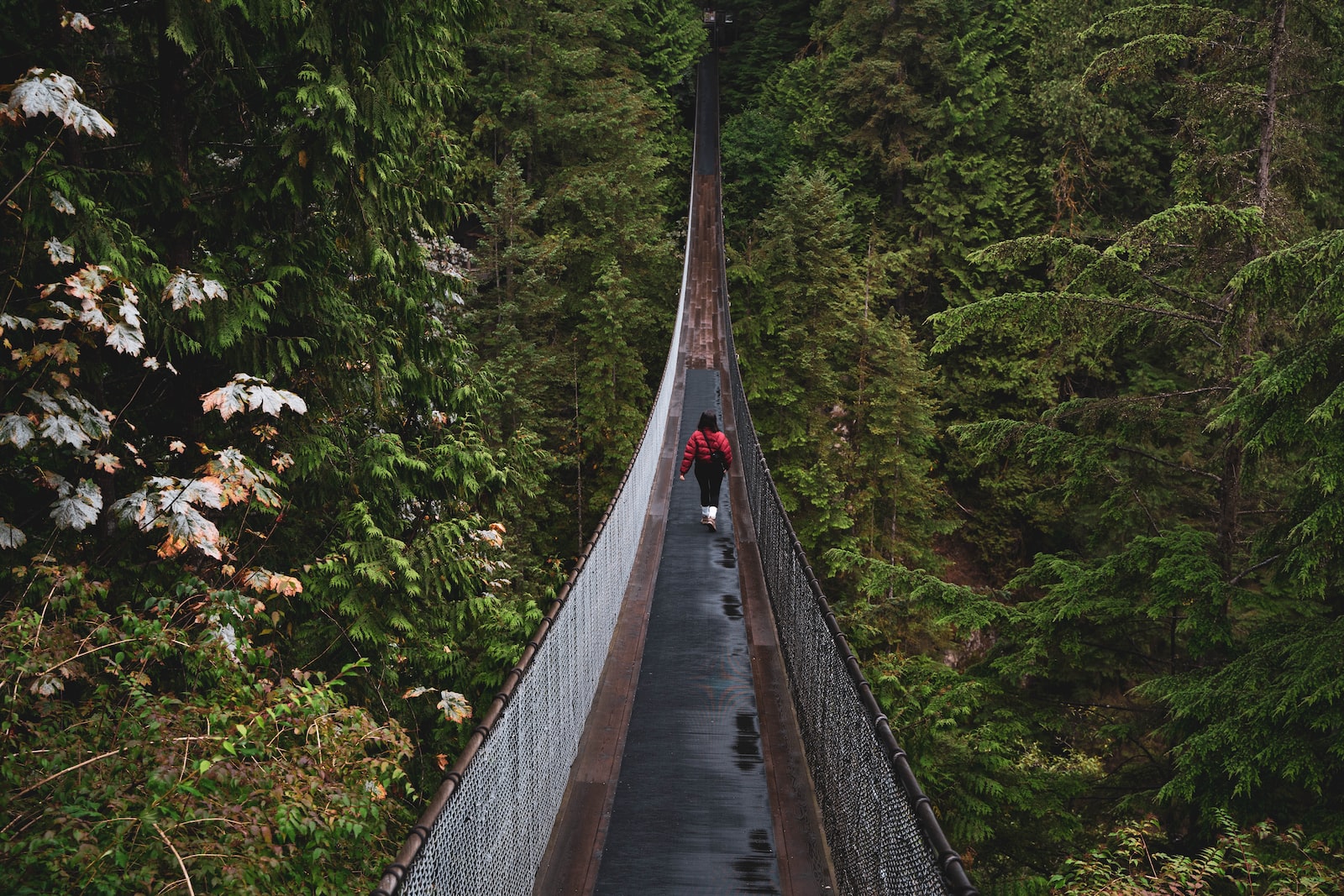 a man walking across a suspension bridge in a forest